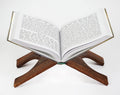 Kabir Bijak | 432 Pages | Size: 10 × 7.5 Inches